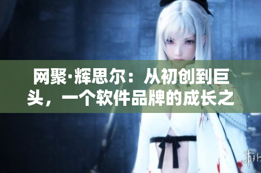 网聚·辉思尔：从初创到巨头，一个软件品牌的成长之路