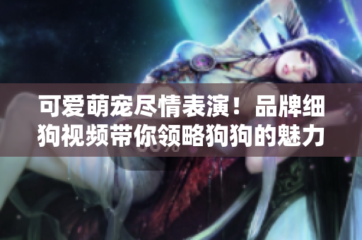 可爱萌宠尽情表演！品牌细狗视频带你领略狗狗的魅力