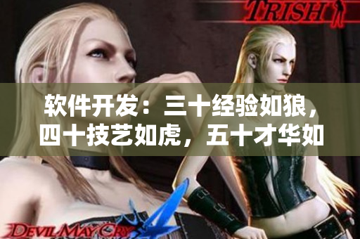 软件开发：三十经验如狼，四十技艺如虎，五十才华如虹