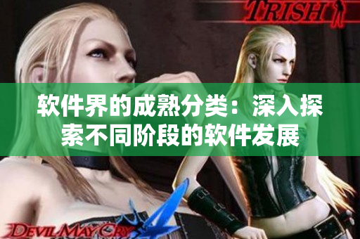 软件界的成熟分类：深入探索不同阶段的软件发展