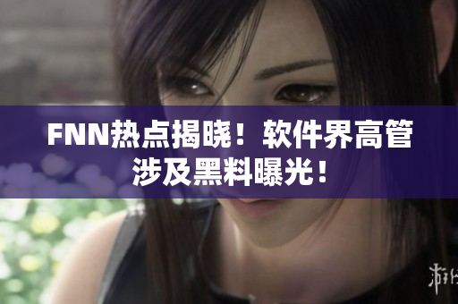FNN热点揭晓！软件界高管涉及黑料曝光！