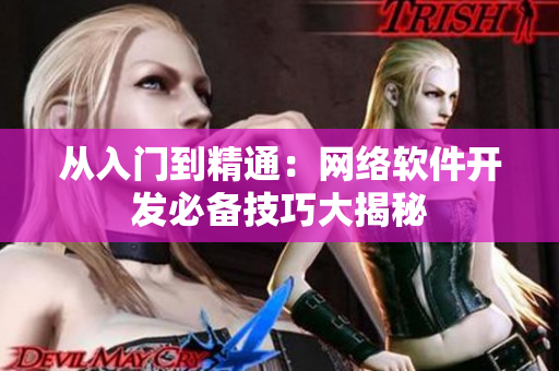 从入门到精通：网络软件开发必备技巧大揭秘