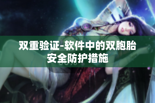 双重验证-软件中的双胞胎安全防护措施