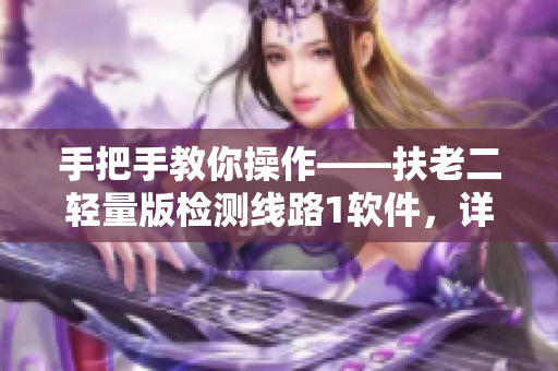 手把手教你操作——扶老二轻量版检测线路1软件，详细教程！
