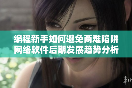 编程新手如何避免两难陷阱网络软件后期发展趋势分析