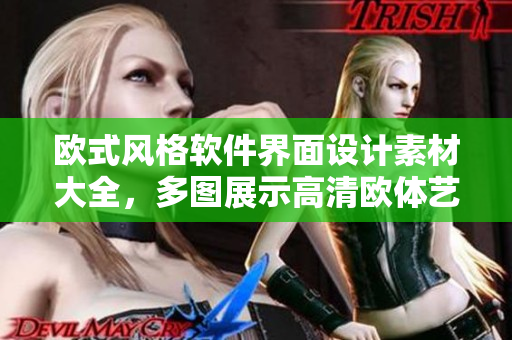 欧式风格软件界面设计素材大全，多图展示高清欧体艺术特色！