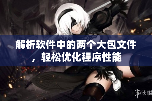 解析软件中的两个大包文件，轻松优化程序性能