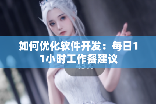 如何优化软件开发：每日11小时工作餐建议