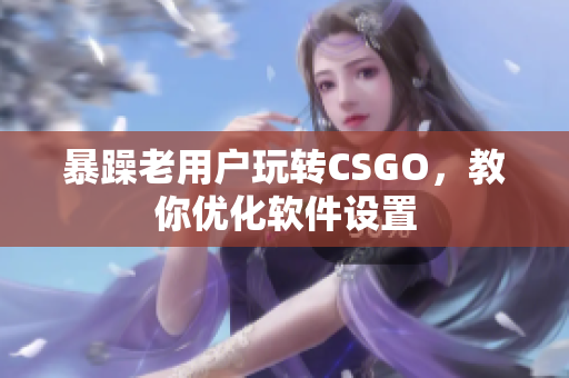 暴躁老用户玩转CSGO，教你优化软件设置