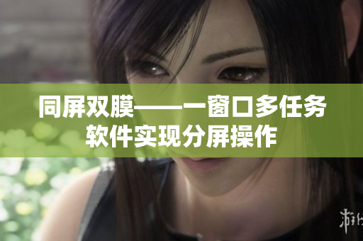 同屏双膜——一窗口多任务软件实现分屏操作