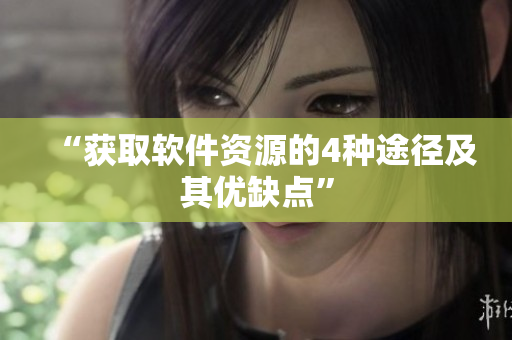 “获取软件资源的4种途径及其优缺点”