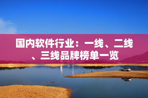 国内软件行业：一线、二线、三线品牌榜单一览
