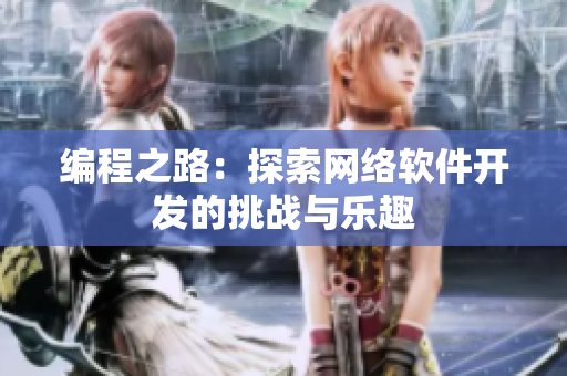 编程之路：探索网络软件开发的挑战与乐趣