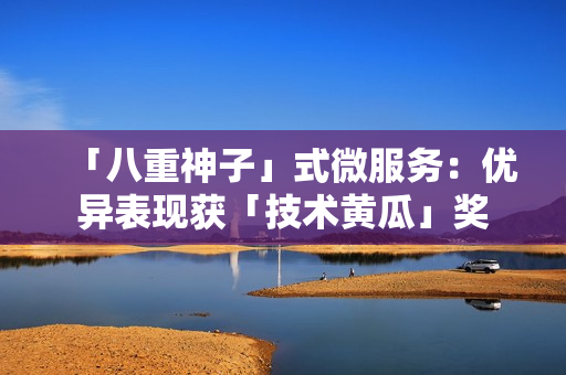 「八重神子」式微服务：优异表现获「技术黄瓜」奖