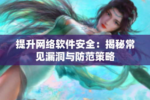 提升网络软件安全：揭秘常见漏洞与防范策略