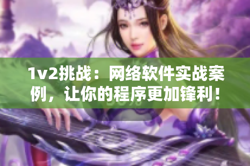 1v2挑战：网络软件实战案例，让你的程序更加锋利！