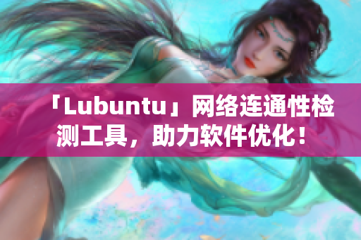 「Lubuntu」网络连通性检测工具，助力软件优化！
