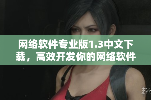网络软件专业版1.3中文下载，高效开发你的网络软件！