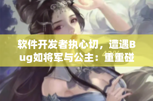 软件开发者执心切，遭遇Bug如将军与公主：重重碰撞！