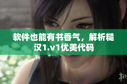 软件也能有书香气，解析糙汉1.v1优美代码
