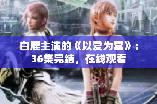 白鹿主演的《以爱为营》：36集完结，在线观看