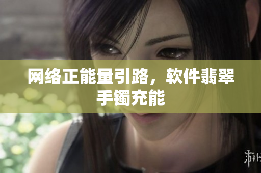 网络正能量引路，软件翡翠手镯充能