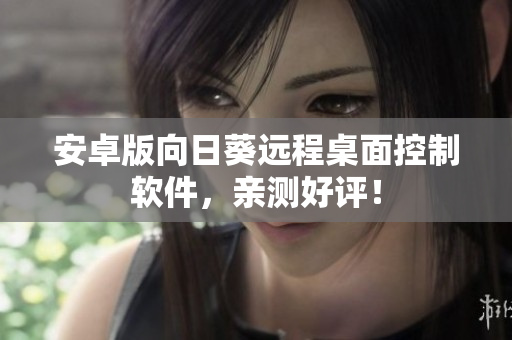 安卓版向日葵远程桌面控制软件，亲测好评！