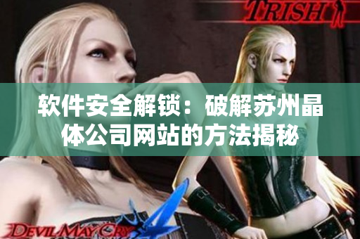 软件安全解锁：破解苏州晶体公司网站的方法揭秘