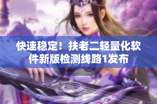 快速稳定！扶老二轻量化软件新版检测线路1发布