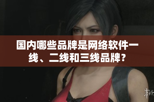 国内哪些品牌是网络软件一线、二线和三线品牌？