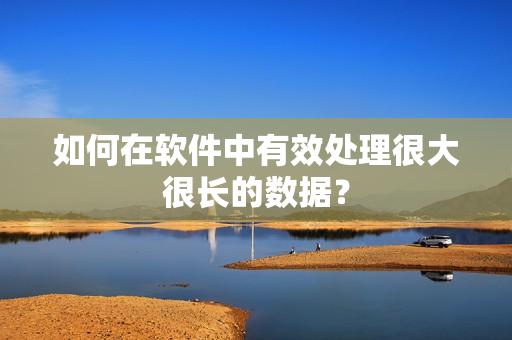 如何在软件中有效处理很大很长的数据？