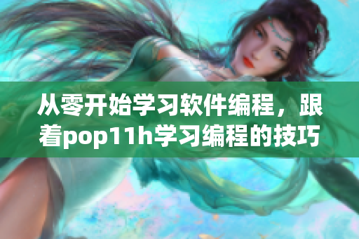 从零开始学习软件编程，跟着pop11h学习编程的技巧与经验!