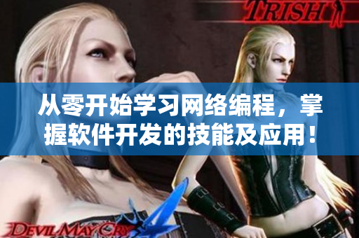 从零开始学习网络编程，掌握软件开发的技能及应用！