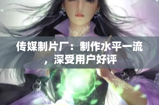 传媒制片厂：制作水平一流，深受用户好评