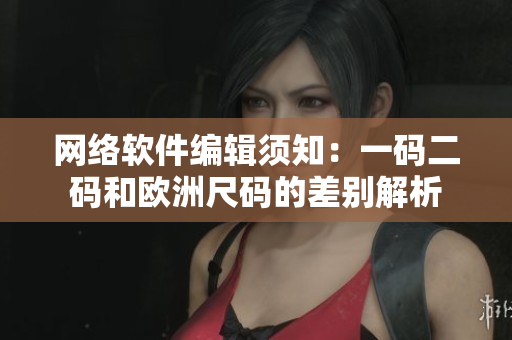 网络软件编辑须知：一码二码和欧洲尺码的差别解析