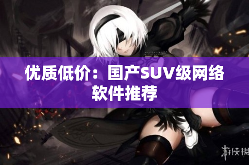 优质低价：国产SUV级网络软件推荐
