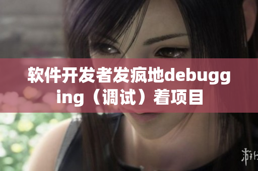 软件开发者发疯地debugging（调试）着项目
