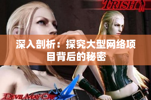 深入剖析：探究大型网络项目背后的秘密