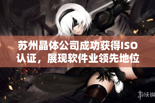 苏州晶体公司成功获得ISO认证，展现软件业领先地位