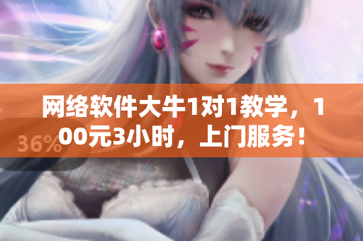 网络软件大牛1对1教学，100元3小时，上门服务！