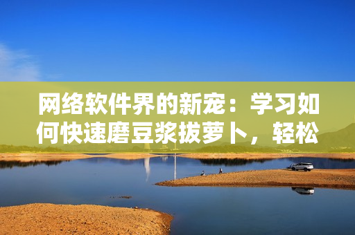 网络软件界的新宠：学习如何快速磨豆浆拔萝卜，轻松提升软件技能