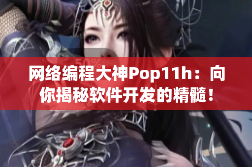 网络编程大神Pop11h：向你揭秘软件开发的精髓！