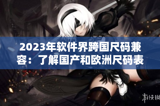 2023年软件界跨国尺码兼容：了解国产和欧洲尺码表的适配！