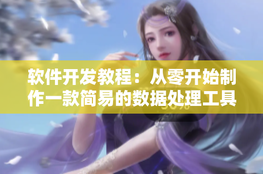 软件开发教程：从零开始制作一款简易的数据处理工具