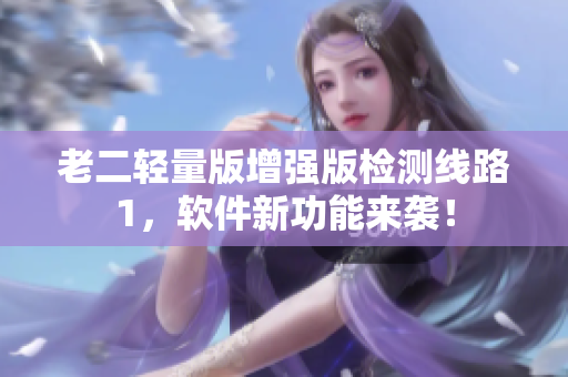 老二轻量版增强版检测线路1，软件新功能来袭！
