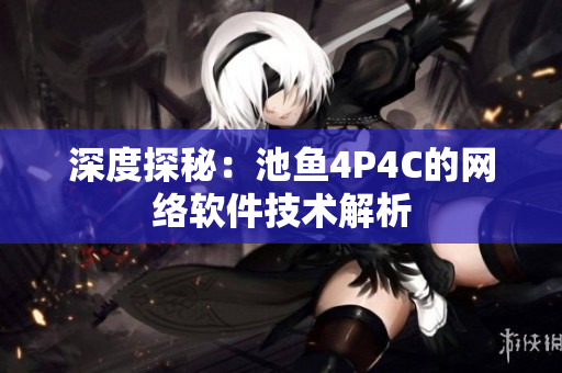 深度探秘：池鱼4P4C的网络软件技术解析