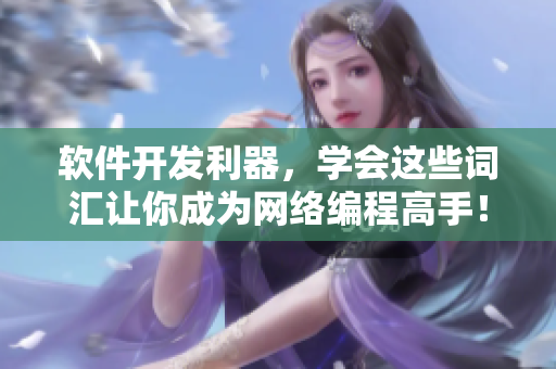 软件开发利器，学会这些词汇让你成为网络编程高手！
