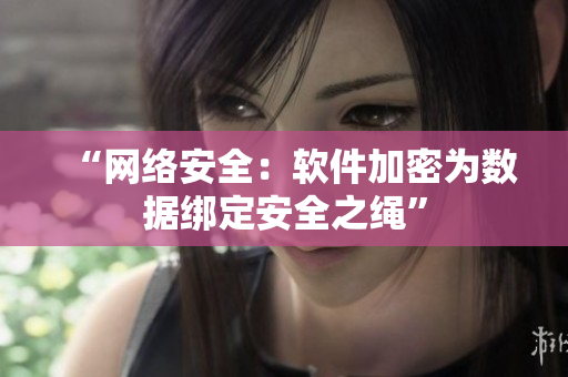 “网络安全：软件加密为数据绑定安全之绳”