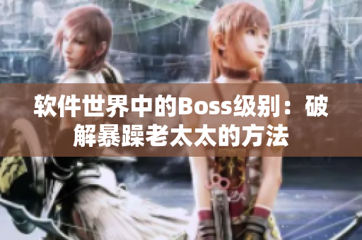 软件世界中的Boss级别：破解暴躁老太太的方法