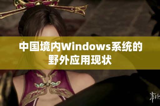 中国境内Windows系统的野外应用现状